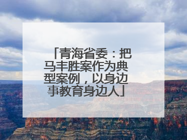青海省委：把马丰胜案作为典型案例，以身边事教育身边人