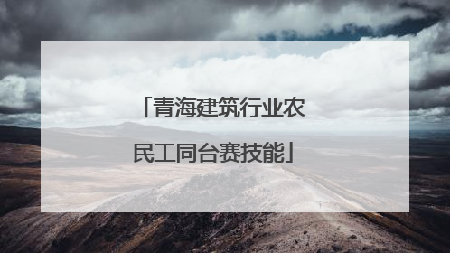 青海建筑行业农民工同台赛技能