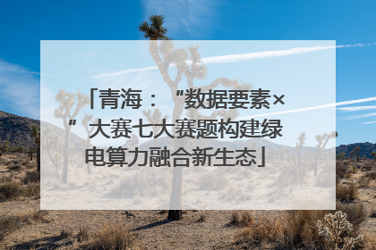 青海：“数据要素×”大赛七大赛题构建绿电算力融合新生态