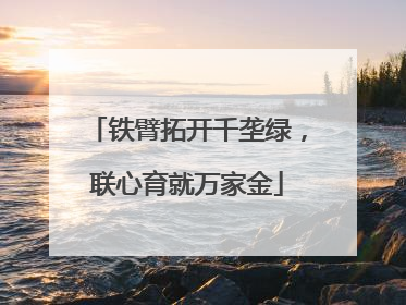 铁臂拓开千垄绿，联心育就万家金