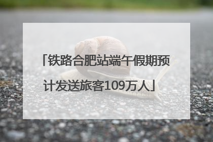 铁路合肥站端午假期预计发送旅客109万人