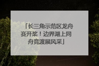 长三角示范区龙舟赛开桨！边界湖上同舟竞渡展风采