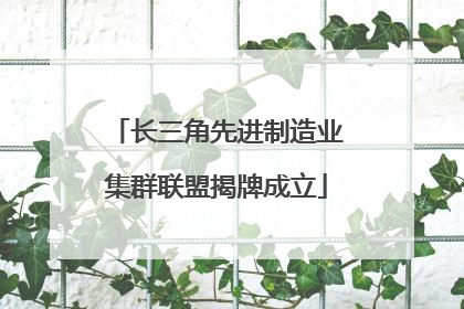 长三角先进制造业集群联盟揭牌成立