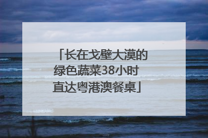 长在戈壁大漠的绿色蔬菜38小时直达粤港澳餐桌