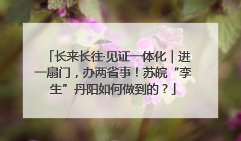 长来长往·见证一体化｜进一扇门，办两省事！苏皖“孪生”丹阳如何做到的？