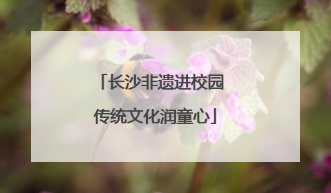 长沙非遗进校园 传统文化润童心