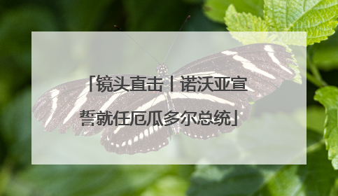 镜头直击丨诺沃亚宣誓就任厄瓜多尔总统