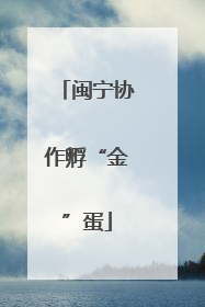 闽宁协作孵“金”蛋