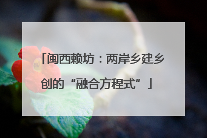 闽西赖坊：两岸乡建乡创的“融合方程式”