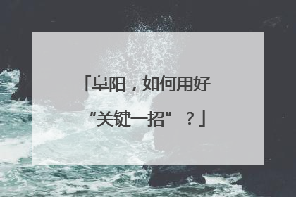 阜阳，如何用好“关键一招”？