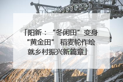 阳新：“冬闲田”变身“黄金田” 稻麦轮作绘就乡村振兴新篇章