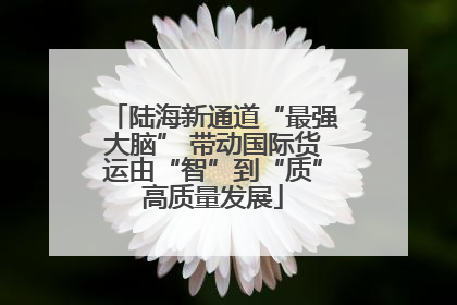陆海新通道“最强大脑” 带动国际货运由“智”到“质”高质量发展