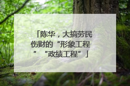 陈华，大搞劳民伤财的“形象工程”“政绩工程”