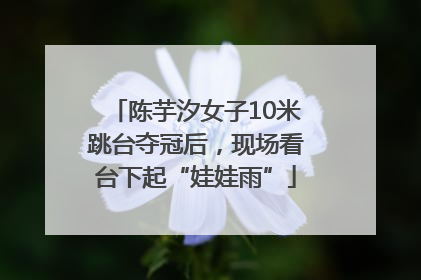 陈芋汐女子10米跳台夺冠后，现场看台下起“娃娃雨”
