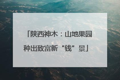 陕西神木：山地果园种出致富新“钱”景