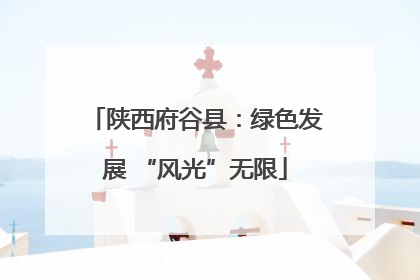 陕西府谷县：绿色发展 “风光”无限