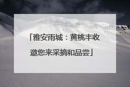 雅安雨城：黄桃丰收 邀您来采摘和品尝