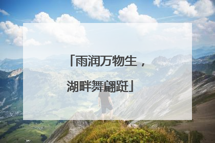 雨润万物生，湖畔舞翩跹