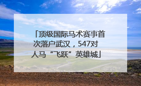 顶级国际马术赛事首次落户武汉，547对人马“飞跃”英雄城