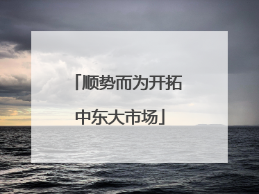 顺势而为开拓中东大市场