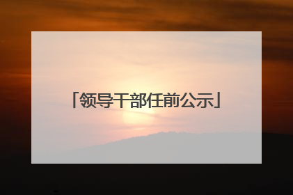 领导干部任前公示