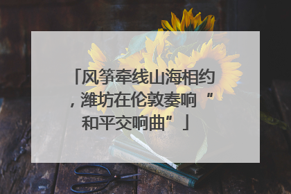 风筝牵线山海相约，潍坊在伦敦奏响“和平交响曲”
