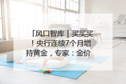 风口智库｜买买买！央行连续7个月增持黄金，专家：金价或仍易涨难跌