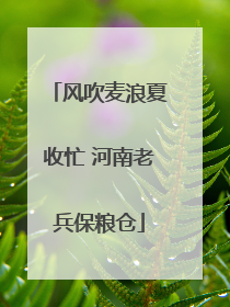风吹麦浪夏收忙 河南老兵保粮仓