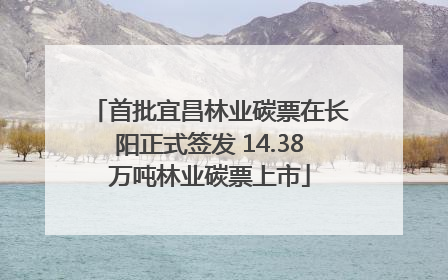首批宜昌林业碳票在长阳正式签发 14.38万吨林业碳票上市