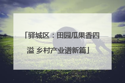 驿城区：田园瓜果香四溢 乡村产业谱新篇