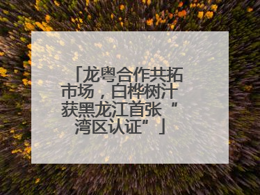 龙粤合作共拓市场，白桦树汁获黑龙江首张“湾区认证”