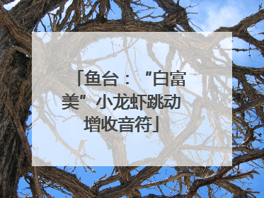 鱼台：“白富美”小龙虾跳动增收音符