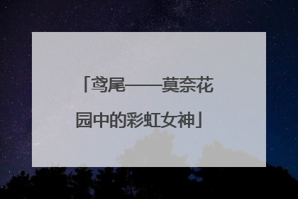 鸢尾——莫奈花园中的彩虹女神