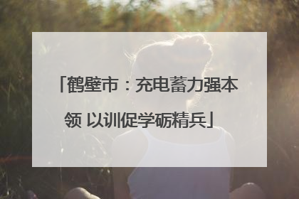 鹤壁市：充电蓄力强本领 以训促学砺精兵
