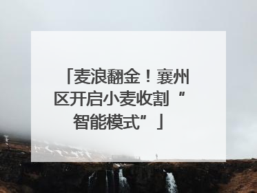 麦浪翻金！襄州区开启小麦收割“智能模式”