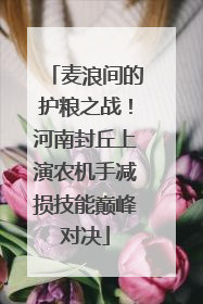 麦浪间的护粮之战！河南封丘上演农机手减损技能巅峰对决