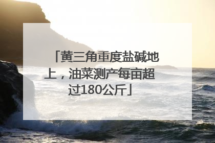 黄三角重度盐碱地上，油菜测产每亩超过180公斤