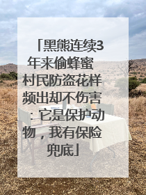 黑熊连续3年来偷蜂蜜 村民防盗花样频出却不伤害：它是保护动物，我有保险兜底