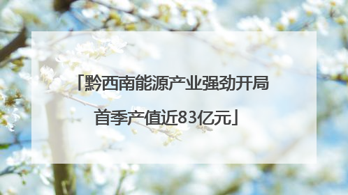 黔西南能源产业强劲开局 首季产值近83亿元