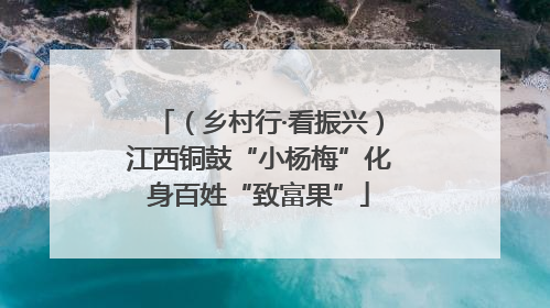 （乡村行·看振兴）江西铜鼓“小杨梅”化身百姓“致富果”