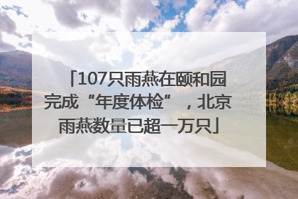 107只雨燕在颐和园完成“年度体检”，北京雨燕数量已超一万只