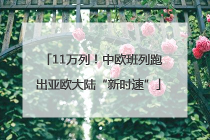 11万列！中欧班列跑出亚欧大陆“新时速”