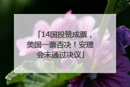 14国投赞成票，美国一票否决！安理会未通过决议
