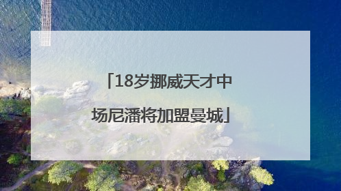 18岁挪威天才中场尼潘将加盟曼城