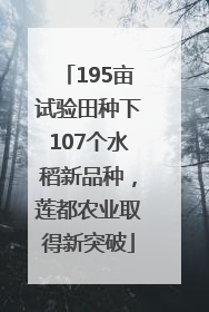 195亩试验田种下107个水稻新品种，莲都农业取得新突破