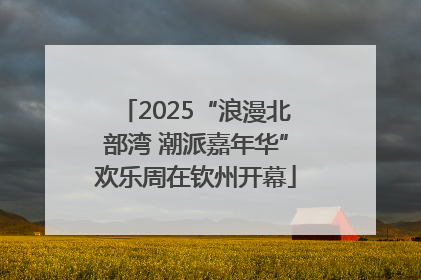 2025“浪漫北部湾 潮派嘉年华”欢乐周在钦州开幕