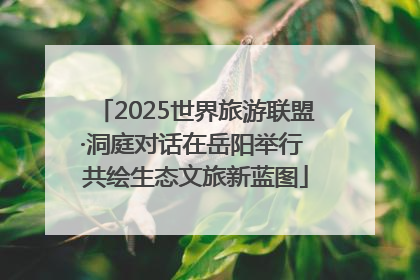 2025世界旅游联盟·洞庭对话在岳阳举行 共绘生态文旅新蓝图
