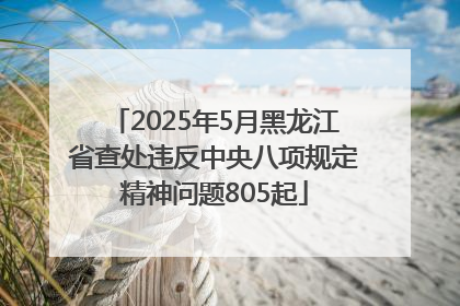 2025年5月黑龙江省查处违反中央八项规定精神问题805起