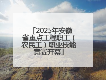 2025年安徽省重点工程职工（农民工）职业技能竞赛开幕