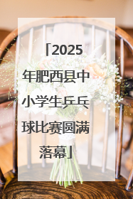 2025年肥西县中小学生乒乓球比赛圆满落幕